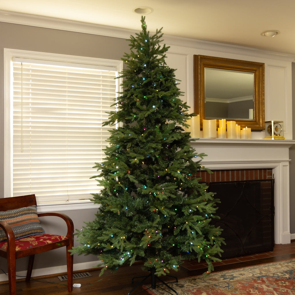 Clovi 7.5FT 82 Wonders of Christmas Prelit Fraser Fir Tree, 550 Lights