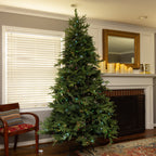 Clovi 7.5FT 82 Wonders of Christmas Prelit Fraser Fir Tree, 550 Lights