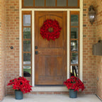 Clovi Brad Schmidt Everglow Poinsettia Wreath, Christmas, 26”, 160 Lights