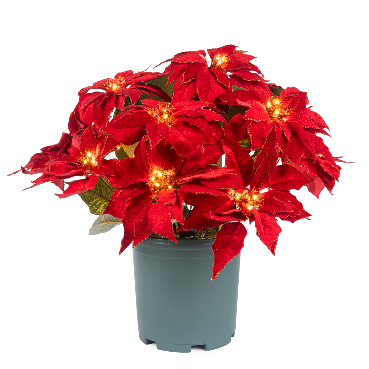 Clovi Brad Schmidt Everglow Poinsettia Urn Filler, Prelit Christmas Decor