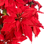Clovi Brad Schmidt Everglow Poinsettia Urn Filler, Prelit Christmas Decor