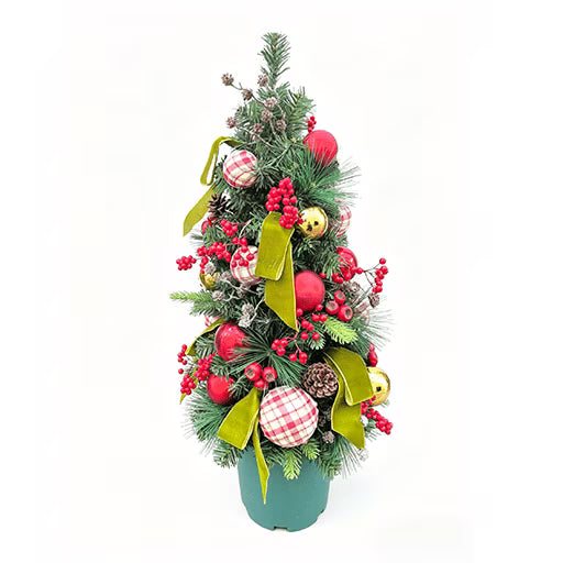 Clovi Brad Schmidt 3’ Cabin Plaid LED Christmas Decorated Potted Tree