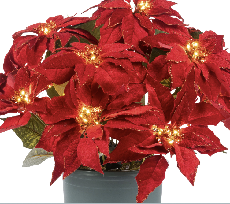 Clovi Brad Schmidt Everglow Poinsettia Urn Filler, Prelit Christmas Decor