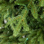 Clovi 7.5FT 82 Wonders of Christmas Prelit Fraser Fir Tree, 550 Lights